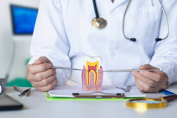 Best Emergency Dental Care for Trauma or Injury in Whitemarsh Island, GA